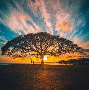 Meet your Posher, Libby